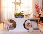 Empresa lança linha de móveis decorativos para pets