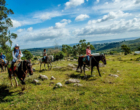 Ecoturismo: uma chave para reativar o setor de turismo uruguaio