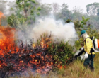 Queimadas na Amazônia podem virar caso de saúde pública durante a pandemia