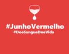 Junho Vermelho: quem pode ser doador de sangue?