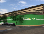 Brasilux Tintas lança campanha Verde Esperança, voltada para salvar vidas