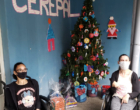 Árvore de Natal mais votada em ação solidária do Tampinha Legal recebe 500 votos