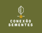 Conexão Sementes mostra, em vídeos, projetos sociais desenvolvidos com o apoio da Jaguar Mining