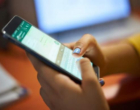 Sebrae lança 15 opções de cursos online gratuitos pelo WhatsApp