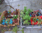 Jardinagem criativa dá leveza à rotina urbana