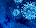 Covid, influenza e vírus sincicial: a importância do diagnóstico correto