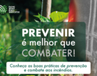 Faemg lança campanha de prevenção a incêndios no campo