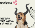 Ampara Animal lança calendário 2023 relacionando a adoção de pets e zodíaco