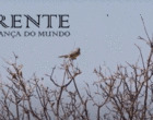 Documentário ‘Parente – A Esperança do Mundo’ será exibido na TVE hoje, dia 19