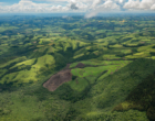 Mata Atlântica segue ameaçada pelo desmatamento