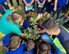 Arteris Fernão Dias planta árvores em escola para comemorar o Dia do Meio Ambiente