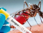 Assim como a Covid-19, dengue também pode apresentar forma longa da doença