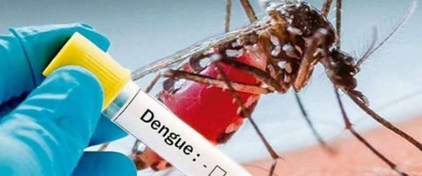 Assim como a Covid-19, dengue também pode apresentar forma longa da doença