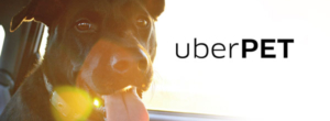Uber Pet: veja regras para o transporte de animais