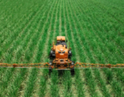 Agronegócio brasileiro acelera transformação com inteligência artificial