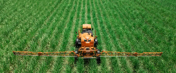 Agronegócio brasileiro acelera transformação com inteligência artificial