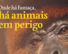 Entidades promovem lançamento oficial da Campanha de Prevenção a Incêndios Florestais