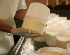 Programação da ExpoQueijo Brasil exalta cultura e inovação no campo