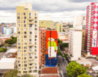 Instituto CURA revela sua agenda 2025, incluindo programação dentro da Virada Cultural