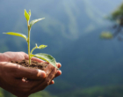 Coca-Cola FEMSA Brasil oferece capacitação gratuita em meio ambiente e sustentabilidade focada em municípios mineiros