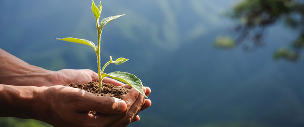 Coca-Cola FEMSA Brasil oferece capacitação gratuita em meio ambiente e sustentabilidade focada em municípios mineiros