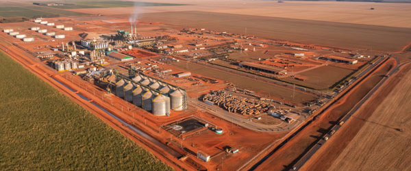 CerradinhoBio anuncia nova expansão da unidade da Neomille em Chapadão do Céu (GO)