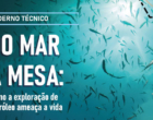 Instituto ARAYARA lança estudo inédito sobre os impactos da pesquisa sísmica na pesca e na vida marinha brasileira